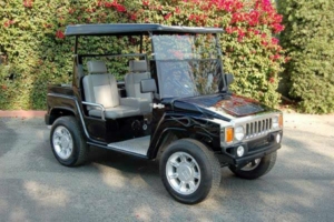 affordable golf cart rental, golf cart rent la