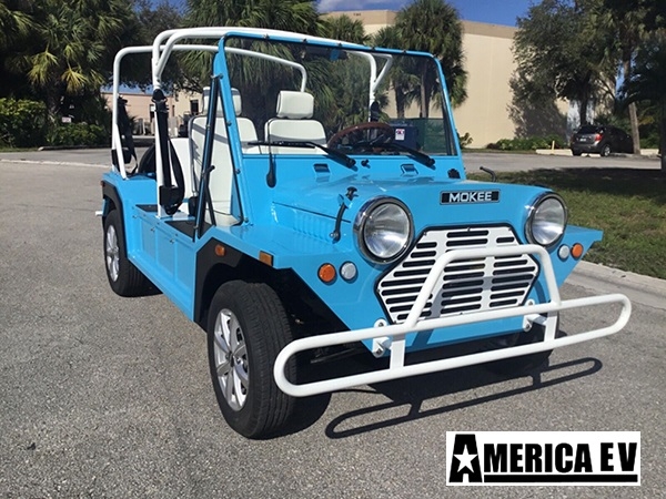 affordable golf cart rental, golf cart rent la