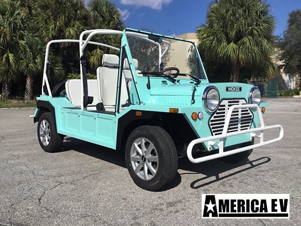 affordable golf cart rental, golf cart rent la
